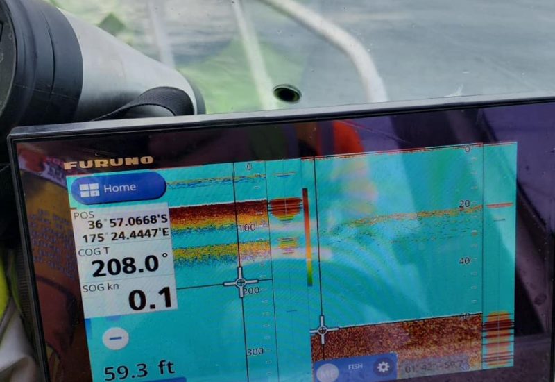 1c35f662-2b1c-48e6-ac15-0859c55f060fphoto