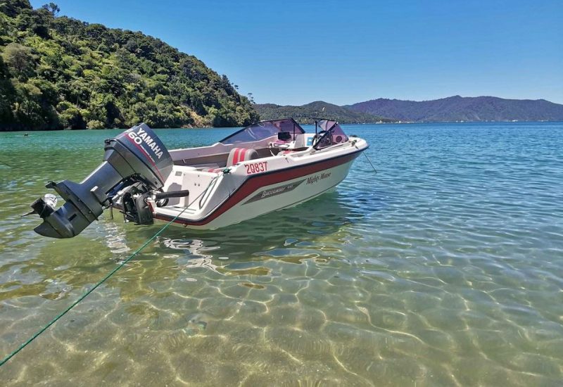 322136639_5072384449530734_531820816094922660_n